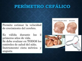 PERÍMETRO CEFÁLICO
Permite estimar la velocidad
de crecimiento del cerebro.
Es válida durante los 2
primeros años de vida.
Se debe evaluar en TODOS los
controles de salud del niño.
Instrumento: cinta métrica y
angosta
 
