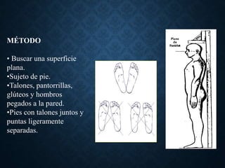 MÉTODO
• Buscar una superficie
plana.
•Sujeto de pie.
•Talones, pantorrillas,
glúteos y hombros
pegados a la pared.
•Pies con talones juntos y
puntas ligeramente
separadas.
 
