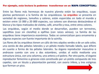 Por ejemplo, esta lectura la podemos transformar en un MAPA CONCEPTUAL:

Entre las flores más hermosas de nuestro planeta están las orquídeas, cuyas
plantas pertenecen a la familia de las orquidáceas. La orquídea se presenta en
variedad de regiones, tamaños y colores, están esparcidas en todo el mundo y
existen entre 15 000 y 20 000 especies, sus colores son diversos destacándose el
blanco y los tipos matizados de violeta, café, amarillo y rosa, entre otros colores.
Las orquídeas, según el medio donde se desarrollan, pueden ser terrestres,
saprófitas (casi sin clorofila) o epífitas (con raíces aéreas). La familia de las
orquídeas tiene importancia económica. Todas se comercializan para ornamento y
algunas especies son fuente importante de la vainilla.
Las flores de las orquídeas tienen un cáliz de tres sépalos verdes o de un solo color,
una corola de dos pétalos laterales y un pétalo medio llamado labelo, que difiere
en cuanto a forma de los pétalos laterales. Su órgano reproductor masculino o
androceo cuenta con uno o dos estambres, unidos al estilo mediante una
estructura única, con una columna, una antera y el polero. Por otra parte, el órgano
reproductor femenino o gineceo está constituido por un pistilo compuesto de tres
capelos, con un lóculo y placentación parietal, con ovario ínfero, y tres estigmas
que forman un pico.
 