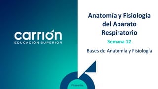 Anatomía y Fisiología
del Aparato
Respiratorio
Bases de Anatomía y Fisiología
Semana 12
 