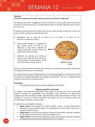 SEMANA 12PROHIBIDASUREPRODUCCIÓN
12
5.º, 6.º y 7.º EGB
Ejercicios	
¿Cuál	es	la	importancia	de	saber	calcular	el	área	de	un	círculo	en	la	vida	real?	
	
Por	ejemplo,	para	hacer	una	pizza,	que	tiene	la	forma	de	un	círculo,	puedes	saber	cuánta	masa	
necesitas	si	quieres	hacerla	de	un	tamaño	determinado	(un	tamaño	adecuado	para	el	horno,	
una	caja,	etc.).	
	
Es	posible	calcular	fácilmente	el	volumen	de	la	pizza	si	sabes	calcular	el	área	de	un	círculo.	Con	
esto	en	mente,	resuelve	los	siguientes	ejercicios:	
	
1. Supongamos	 que	 el	 radio	 de	 la	 pizza	 es	 Z,	 y	 el	 grosor	 o	 la	 altura	 es	 ‘a’…	
¿Cuál	es	el	volumen	de	la	pizza?	
	
2. Aurora	quiere	colocar	en	su	cafetería	un	
gran	 espejo	 circular	 de	 200	 cm	 de	
diámetro.	 Si	 cada	 metro	 cuadrado	 del	
espejo	 cuesta	 $20,	 ¿cuánto	 tendrá	 que	
pagar	Aurora	por	el	encargo?	
	
3. Sebastián	 ha	 cocinado	 una	 tortilla	 de	
papas	en	una	sartén	de	20	cm	de	radio	y	
la	ha	dividido	en	8	trozos	iguales.	Calcula	
el	área	de	cada	una	de	las	raciones.	
	
	
Ahora,	con	el	conocimiento	obtenido	sobre	cálculos	en	circunferencias	y	círculos,	podrás	crear	
los	moldes	perfectos	para	tus	marionetas.		
	
En	Ecuador	existe	una	gran	biodiversidad,	por	su	ubicación	geográfica	y	su	cercanía	a	la	línea	
ecuatorial.	Esta	biodiversidad	debe	ser	protegida	y	preservada.		Por	eso,	es	importante	que	
conozcas	nuestro	país	y	su	riqueza	natural.		
	
Actividades:	
1. Lee	el	siguiente	texto	sobre	las	regiones	geográficas	de	Ecuador:	
	
Regiones	geográficas	de	Ecuador	
En	 Ecuador,	 las	 condiciones	 ambientales	 varían	 según	 la	 zona	 del	 país.	 Esto	 ha	 generado	
regiones	 naturales	 con	 propiedades	 muy	 divergentes.	 Estas	 diferencias	 son	 obvias	 para	
cualquiera	que	haya	cruzado	los	Andes,	viajando	desde	la	Amazonía	baja	hasta	el	litoral.	Esta	
variedad	 es	 uno	 de	 los	 factores	 que	 hacen	 de	 Ecuador	 uno	 de	 los	 mayores	 centros	 de	
concentración	de	especies	a	nivel	mundial.		
	
Ecuador	tiene	cuatro	regiones	naturales:	
• Región	 Costa:	 está	 formada	 por	 llanuras	 fértiles,	 colinas,	 cuencas	 sedimentarias,	
elevaciones	de	poca	altitud	y	playas.	Se	caracteriza	por	un	clima	cálido-	seco	al	sur	y	
tropical-	húmedo	al	norte.	
• Región	Sierra:	se	caracteriza	por	grandes	elevaciones	montañosas,	volcanes	y	nevados.	
En	esta	región	coexisten	zonas	calientes,	templadas	y	frías.	
• Región	Oriente:	de	exuberante	vegetación,	propia	de	los	bosques	húmedo-tropicales.	
La	temperatura	anual	promedio	oscila	entre	los	15	C	y	los	40	C.	
 