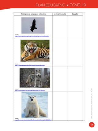 PLAN EDUCATIVO COVID-19
PROHIBIDASUREPRODUCCIÓN
17
Animales	en	peligro	de	extinción	 A	nivel	mundial	 Ecuador	
	
	
	
	
	
	
	
	
	
Fuente:		
https://cumbrepuebloscop20.org/animales/peligro-extincion/ecuador/	
	 	
	
	
	
	
	
	
	
	
	
	
	
Fuente:	
https://cumbrepuebloscop20.org/animales/peligro-extincion/	
	 	
	
	
	
	
	
	
	
	
	
	
Fuente:	
https://es.mongabay.com/2019/06/mexico-lobo-gris-regreso/	
	 	
	
	
	
	
	
	
	
	
	
	
	
	
Fuente:		
https://www.expertoanimal.com/la-alimentacion-del-oso-polar-21231.html	
	 	
 