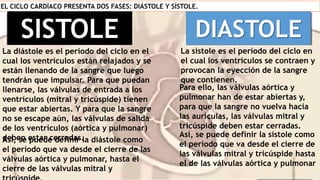 EL CICLO CARDÍACO PRESENTA DOS FASES: DIÁSTOLE Y SÍSTOLE.
La diástole es el período del ciclo en el
cual los ventrículos están relajados y se
están llenando de la sangre que luego
tendrán que impulsar. Para que puedan
llenarse, las válvulas de entrada a los
ventrículos (mitral y tricúspide) tienen
que estar abiertas. Y para que la sangre
no se escape aún, las válvulas de salida
de los ventrículos (aórtica y pulmonar)
deben estar cerradas.
Así, se puede definir la diástole como
el período que va desde el cierre de las
válvulas aórtica y pulmonar, hasta el
cierre de las válvulas mitral y
La sístole es el período del ciclo en
el cual los ventrículos se contraen y
provocan la eyección de la sangre
que contienen.
Para ello, las válvulas aórtica y
pulmonar han de estar abiertas y,
para que la sangre no vuelva hacia
las aurículas, las válvulas mitral y
tricúspide deben estar cerradas.
Así, se puede definir la sístole como
el período que va desde el cierre de
las válvulas mitral y tricúspide hasta
el de las válvulas aórtica y pulmonar
SISTOLE DIASTOLE
 