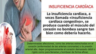 INSUFICIENCIA CARDÍACA
La insuficiencia cardíaca, a
veces llamada «insuficiencia
cardíaca congestiva», se
produce cuando el músculo del
corazón no bombea sangre tan
bien como debería hacerlo.
Determinadas afecciones, como las arterias estrechadas en el
corazón (enfermedad de las arterias coronarias) o la presión
arterial alta, dejan progresivamente el corazón demasiado débil o
rígido como para llenarse y bombear de forma eficaz.
 