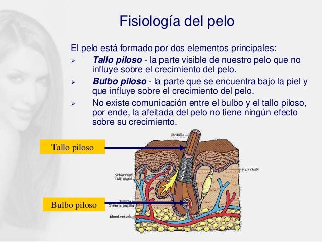 Las patologías sheynogo del departamento de la columna vertebral esto