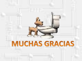  oclusion mutuamente protegida