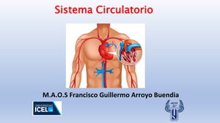 M.A.O.S Francisco Guillermo Arroyo Buendia
Sistema Circulatorio
 