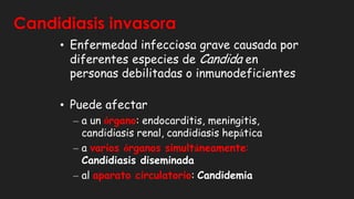 Candidiasis invasora
• Enfermedad infecciosa grave causada por
diferentes especies de Candida en
personas debilitadas o inmunodeficientes
• Puede afectar
– a un órgano: endocarditis, meningitis,
candidiasis renal, candidiasis hepática
– a varios órganos simultáneamente:
Candidiasis diseminada
– al aparato circulatorio: Candidemia
 