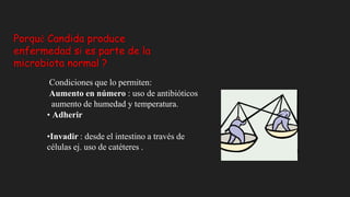 Porqué Candida produce
enfermedad si es parte de la
microbiota normal ?
Condiciones que lo permiten:
Aumento en número : uso de antibióticos
aumento de humedad y temperatura.
• Adherir
•Invadir : desde el intestino a través de
células ej. uso de catéteres .
 