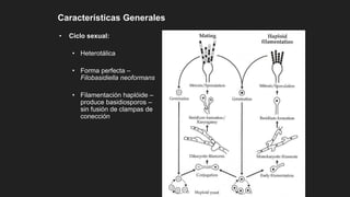 

a
a

a
Características Generales
• Ciclo sexual:
• Heterotálica
• Forma perfecta –
Filobasidiella neoformans
• Filamentación haplóide –
produce basidiosporos –
sin fusión de clampas de
conección
 
