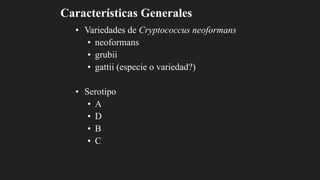Características Generales
• Variedades de Cryptococcus neoformans
• neoformans
• grubii
• gattii (especie o variedad?)
• Serotipo
• A
• D
• B
• C
 