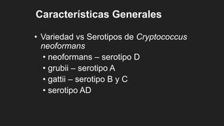 Características Generales
• Variedad vs Serotipos de Cryptococcus
neoformans
• neoformans – serotipo D
• grubii – serotipo A
• gattii – serotipo B y C
• serotipo AD
 