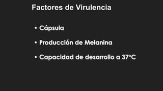 Factores de Virulencia
• Cápsula
• Producción de Melanina
• Capacidad de desarrollo a 37C
 