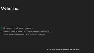 Melanina
 Pigmentos de alto peso molecular
 Formados por polimerización de compuestos difenólicos
 Usualmente son de color marrón oscuro o negro
CLINICAL MICROBIOLOGY REVIEWS, 2000, 13(4):708–717
 