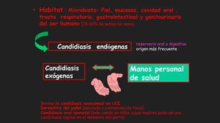 • Habitat : Microbiota: Piel, mucosas, cavidad oral ,
tracto respiratorio, gastrointestinal y genitourinario
del ser humano (15-60% de población sana).
Candidiasis endógenas
Manos personal
de salud
Candidiasis
exógenas
reservorio oral o digestivo
origen más frecuente
Brotes de candidiasis nosocomial en UCI
Dermatitis del pañal (asociada a contaminación fecal)
Candidiasis oral neonatal (más común en niños cuyas madres padecen una
candidiasis vaginal en el momento del parto)
 