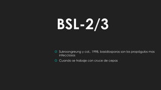 BSL-2/3
 Sukroongreung y col., 1998, basidiosporas son los propágulos mas
infecciosos
 Cuando se trabaje con cruce de cepas
 