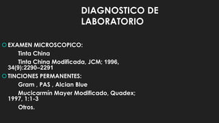 DIAGNOSTICO DE
LABORATORIO
EXAMEN MICROSCOPICO:
Tinta China
Tinta China Modificada, JCM; 1996,
34(9):2290–2291
TINCIONES PERMANENTES:
Gram , PAS , Alcian Blue
Mucicarmín Mayer Modificado, Quadex;
1997, 1:1-3
Otros.
 