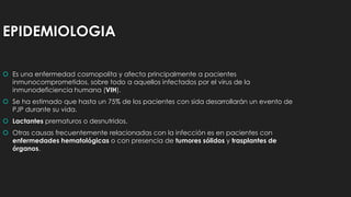 EPIDEMIOLOGIA
 Es una enfermedad cosmopolita y afecta principalmente a pacientes
inmunocomprometidos, sobre todo a aquellos infectados por el virus de la
inmunodeficiencia humana (VIH).
 Se ha estimado que hasta un 75% de los pacientes con sida desarrollarán un evento de
PJP durante su vida.
 Lactantes prematuros o desnutridos.
 Otras causas frecuentemente relacionadas con la infección es en pacientes con
enfermedades hematológicas o con presencia de tumores sólidos y trasplantes de
órganos.
 