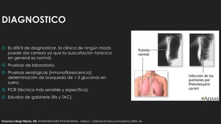 DIAGNOSTICO
 Es difícil de diagnosticar, la clínica de ningún modo
puede dar certeza ya que la auscultación torácica
en general es normal.
 Pruebas de laboratorio.
 Pruebas serológicas (inmunoflorescencia),
determinación de búsqueda de 1-3 glucanos en
suero.
 PCR (técnica más sensible y específica).
 Estudios de gabinete (Rx y TAC).
Francisco Biagi Filizola, DR. ENFERMEDADES PARASITARIAS . México : Editorial El Manual Moderno 2004. 4a.
 
