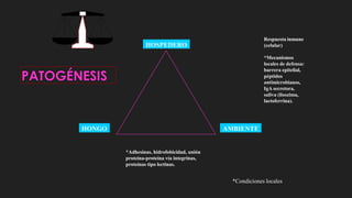 PATOGÉNESIS
HOSPEDERO
AMBIENTE
HONGO
Respuesta inmune
(celular)
*Mecanismos
locales de defensa:
barrera epitelial,
péptidos
antimicrobianos,
IgA secretora,
saliva (lisozima,
lactoferrina).
*Condiciones locales
*Adhesinas, hidrofobicidad, unión
proteína-proteína vía integrinas,
proteínas tipo lectinas.
 