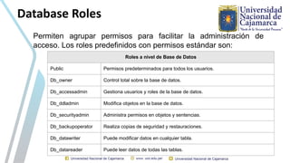 SEMANA 13 - SEGURIDAD USUARIOS - BASE DE DATOS | PDF