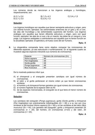 UNMSM-CENTRO PREUNIVERSITARIO Ciclo 2016-II
Semana Nº 13 (Prohibida su reproducción y venta) Pág. 117
Los números donde se mencionan a los órganos análogos y homólogos,
respectivamente, son
A) 3,1 y 2,4 B) 1,2 y 4,3 C) 3,4 y 1,5
D) 2,1 y 3,5 E) 2,4 y 1,5
Solución:
Los órganos homólogos son aquellos que tienen semejante estructura y origen, pero
con distinta función; ejemplos: las extremidades anteriores de un gato y de un ave,
las alas del murciélago y las extremidades superiores del hombre. Los órganos
análogos son aquellos que tienen diferente estructura y origen, pero con igual
función; ejemplos: las alas de un ave y de un insecto, las patas de un canguro y una
pulga. Los órganos vestigiales o rudimentarios son aquellos que no tienen función en
la actualidad; ejemplos: el apéndice y el hueso coxis del ser humano.
Rpta.: E
8. La citogenética comparada tiene como objetivo comparar los cromosomas de
diferentes especies, ya sea estructural o numéricamente. En el siguiente cuadro se
muestran algunas especies indicando sus números de cromosomas.
Especie Número de cromosomas (2n)
Homo sapiens 46
Pan troglodytes 48
Gorila gorilla 48
Pongo pygmacus 48
Mus musculus 40
De lo mostrado podemos inferir que
A) el chimpancé y el orangután presentan cariotipos con igual número de
cromosomas.
B) el ratón y el gorila pertenecen al mismo orden ya que tienen cromosomas
similares.
C) el hombre y el chimpancé forman gametos con igual número de cromosomas.
D) el número haploide de la especie ratón es 40.
E) de las especies mencionadas, el orangután es el que tiene el menor número de
cromosomas.
Solución:
Los cariotipos del orangután (Pongo pygmacus), gorila (Gorila gorilla) y chimpancé
(Pan troglodytes) son prácticamente indistinguibles (2n = 48) y a su vez son muy
similares al del hombre (Homo sapiens) (2n = 46) y no tan similares al del ratón (Mus
musculus) (2n = 40). Los gametos del orangután, gorila y chimpancé presentan 24
cromosomas (n = 24); del hombre, 23 cromosomas (n=23) y del ratón, 20
cromosomas (n = 20).
Rpta.: A
 