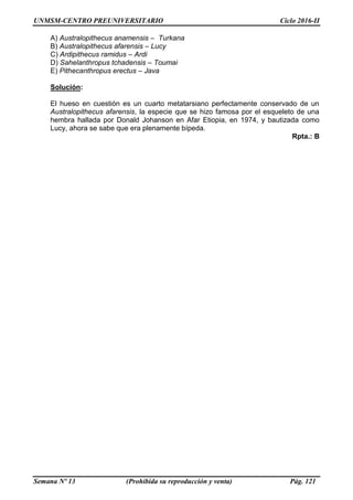 UNMSM-CENTRO PREUNIVERSITARIO Ciclo 2016-II
Semana Nº 13 (Prohibida su reproducción y venta) Pág. 121
A) Australopithecus anamensis – Turkana
B) Australopithecus afarensis – Lucy
C) Ardipithecus ramidus – Ardi
D) Sahelanthropus tchadensis – Toumai
E) Pithecanthropus erectus – Java
Solución:
El hueso en cuestión es un cuarto metatarsiano perfectamente conservado de un
Australopithecus afarensis, la especie que se hizo famosa por el esqueleto de una
hembra hallada por Donald Johanson en Afar Etiopia, en 1974, y bautizada como
Lucy, ahora se sabe que era plenamente bípeda.
Rpta.: B
 