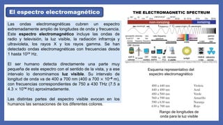 El espectro electromagnético
Las ondas electromagnéticas cubren un espectro
extremadamente amplio de longitudes de onda y frecuencia.
Este espectro electromagnético incluye las ondas de
radio y televisión, la luz visible, la radiación infrarroja y
ultravioleta, los rayos X y los rayos gamma. Se han
detectado ondas electromagnéticas con frecuencias desde
1 hasta 1024 Hz.
El ser humano detecta directamente una parte muy
pequeña de este espectro con el sentido de la vista, y a ese
intervalo lo denominamos luz visible. Su intervalo de
longitud de onda va de 400 a 700 nm (400 a 700 × 10–9 m),
con frecuencias correspondientes de 750 a 430 THz (7.5 a
4.3 × 1014 Hz) aproximadamente.
Las distintas partes del espectro visible evocan en los
humanos las sensaciones de los diferentes colores.
Esquema representativo del
espectro electromagnético
Rango de longitudes de
onda para la luz visible
 