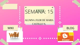 ALUMNA :FLOR DE MARIA
CASTILLO N.
SEMANA: 15
WIKI BLOG
 