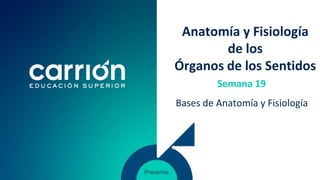 Anatomía y Fisiología
de los
Órganos de los Sentidos
Bases de Anatomía y Fisiología
Semana 19
 