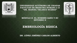 UNIVERSIDAD AUTÓNOMA DE CHIAPAS
FACULTAD DE MEDICINA HUMANA C-II
“DR. MANUEL VELASCO SUÁREZ”
MÓDULO II. EL HOMBRE SANO Y SU
ENTORNO II
EMBRIOLOGÍA BÁSICA
DR. LÓPEZ JIMÉNEZ CARLOS ALBERTO
 