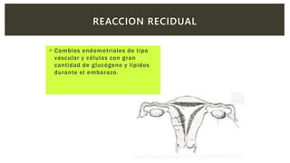  Cambios endometriales de tipo
vascular y células con gran
cantidad de glucógeno y lípidos
durante el embarazo.
REACCION RECIDUAL
 
