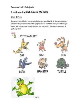 Semana 1 al 12 de junio
1 er Grado A y B M. Laura Méndez
Unit 4 Pets
Duranteestos 15 días vamos a trabajar con la unidad 4...