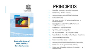 PRINCIPIOS
1.
2.
3.
4.
5.
6.
7.
8.
9.
10.
11.
12.
13.
14.
15.
 