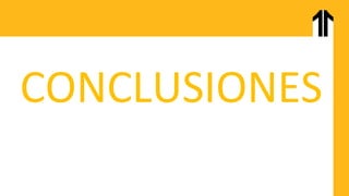 CONCLUSIONES
 
