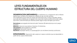 SEMANA 1 EMBRIOLOGIA, HISTOLOGIA Y PLANOS Y EJES (1).pptx