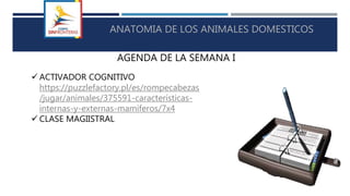 AGENDA DE LA SEMANA I
ANATOMIA DE LOS ANIMALES DOMESTICOS
 ACTIVADOR COGNITIVO
https://puzzlefactory.pl/es/rompecabezas
/jugar/animales/375591-características-
internas-y-externas-mamíferos/7x4
 CLASE MAGIISTRAL
 
