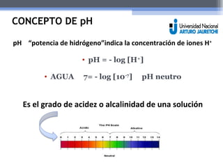 CONCEPTO DE pH 
pH “potencia de hidrógeno”indica la concentración de iones H+ 
• pH = - log [H+] 
• AGUA 7= - log [10-7] pH neutro 
Es el grado de acidez o alcalinidad de una solución 
 