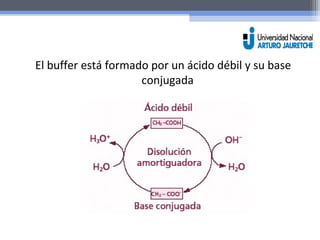 El buffer está formado por un ácido débil y su base 
conjugada 
 