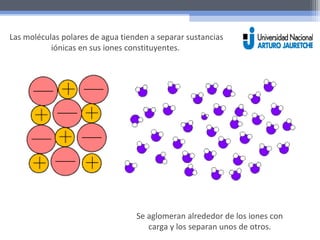 Las moléculas polares de agua tienden a separar sustancias 
iónicas en sus iones constituyentes. 
Se aglomeran alrededor de los iones con 
carga y los separan unos de otros. 
 