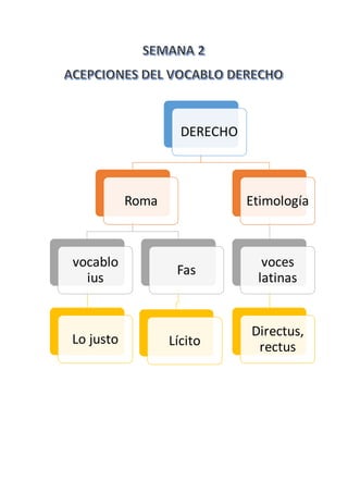 DERECHO 
Roma 
vocablo 
ius 
Lo justo 
Fas 
Lícito 
Etimología 
voces 
latinas 
Directus, 
rectus 
 