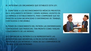 IX.-INTEGRAR LOS ORGANISMOS QUE ESTABLECE ESTA LEY;
X.-SOMETERSE A LOS RECONOCIMIENTOS MÉDICOS PREVISTOS
EN EL REGLAMENTO INTERIOR Y DEMÁS NORMAS VIGENTES EN
LA EMPRESA O ESTABLECIMIENTO, PARA COMPROBAR QUE NO
PADECEN ALGUNA INCAPACIDAD O ENFERMEDAD DE TRABAJO,
CONTAGIOSA O INCURABLE;
XI.PONER EN CONOCIMIENTO DEL PATRÓN LAS ENFERMEDADES
CONTAGIOSAS QUE PADEZCAN, TAN PRONTO COMO TENGAN
CONOCIMIENTO DE LAS MISMAS;
XII.COMUNICAR AL PATRÓN O A SU REPRESENTANTE LAS
DEFICIENCIAS QUE ADVIERTAN, A FIN DE EVITAR DAÑOS O
PERJUICIOS A LOS INTERESES Y VIDAS DE SUS COMPAÑEROS DE
TRABAJO O DE LOS PATRONES.
 