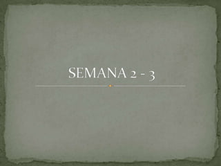 SEMANA 2 - 3 