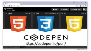 https://codepen.io/pen/
 