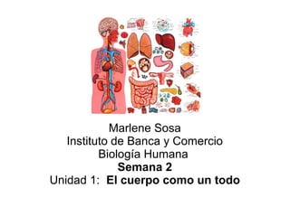 Marlene Sosa
   Instituto de Banca y Comercio
          Biología Humana
              Semana 2
Unidad 1: El cuerpo como un todo
 