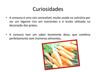 CuriosidadesA cenoura é uma raiz comestível, muito usada na culinária por ser um legume rico em nutrientes e é muito utilizada na decoração dos pratos. A cenoura tem um sabor levemente doce, que combina perfeitamente com inúmeros alimentos. 
