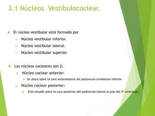 3.1 Núcleos Vestíbulococlear.
 El núcleo vestibular está formado por
a. Núcleo vestibular inferior.
b. Núcleo vestibular lateral.
c. Núcleo vestibular superior.
 Los núcleos cocleares son 2:
a. Núcleo coclear anterior:
 Se ubica sobre la cara anterolateral del pedúnculo cerebeloso inferior.
b. Núcleo coclear posterior:
 Está situado sobre la cara posterior del pedúnculo lateral al piso del 4º ventrículo.
 
