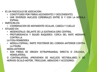 • ES UN FASCICULO DE ASOCIACION:
• CONSTITUIDO POR FIBRAS ASCENDENTES Y DESCENDENTES
• UNE DIVERSOS NUCLEOS CEREBRALES ENTRE SI Y CON LA MEDULA
ESPINAL
• PARTICIPA EN:
• COORDINACION DE MOVIMIENTO OCULAR, CABEZA Y CUELLO
• SITUADO EN:
• MESENCEFALO: DELANTE DE LA SUSTANCIA GRIS CENTRAL
• PROTUBERANCIA Y BULBO RAQUIDEO: CERCA DEL RAFE MEDIANO
CONTRA LA
LA FOSA ROMBOIDEA
• MEDULA ESPINAL: PARTE POSTERIOR DEL CORDON ANTERIOR CONTRA
LA FISURA
MEDIA ANTERIOR
• SON FIBRAS DE ORIGEN EXTRAPIRAMIDAL DIRECTA O CRUZADA,
HOMOLATERAL
O CONTRALATERAL (PROVIENEN DE NUCLEOS VESTIBULARES Y DE
NERVIOS OCULO-MOTOR, TROCLEAR, ABDUCENS Y ACCESORIO)
 