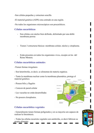 -Son células pequeñas y estructura sencilla
-El material genético (ADN) esta centrado en una región.
-No todos los organismos microscópicos son procarióticos.
Células eucarióticas
- Son células con núcleo bien definido, delimitado por una doble
membrana porosa
- Tienen 3 estructuras básicas: membrana celular, núcleo y citoplasma.
- Están presentes en todos los organismos vivos, excepto en los del
Reino Monera.
Células eucarióticas animales
-Tienen formas irregulares
- Son heterótrofas, es decir, se alimentan de materia orgánica.
- Tanto la membrana nuclear como la membrana plasmática, protege el
material genético.
- Poseen bilis y flagelos
- Carecen de pared celular
- Las vacuolas no están desarrolladas
- No poseen cloroplastos.
Células eucariótica vegetales
- Generalmente tienen forman poligonales y en su mayoría son capaces de
realizar la fotosíntesis.
- Todas las células eucariota vegetales son autótrofas, es decir fabrican su
propio alimento.
 