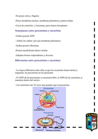-No posee cilios y flagelos
-Posee membrana nuclear, membrana plasmática y pared celular.
-Crece de centríolos y lisosomas, pero tienen cloroplastos
Semejanzas entre procariotas y eucariota:
-Ambas poseen ADN
- Ambas las rodean por una membrana plasmática
-Ambas poseen ribosomas
-Poseen metabolismo básico similar
-Adoptan formas sorprendentes y diversas
Diferencias entre procariotas y eucariota:
- La mayor diferencia entre ellas es que las eucariotas tienen núcleo y
organelas; las procariotas no los presentan
- El ADN de las procariotas se encuentra libre, el ADN de las eucariotas se
mantiene dentro del núcleo.
- Las eurariotas son 10 veces más grandes que la procariotas.
 